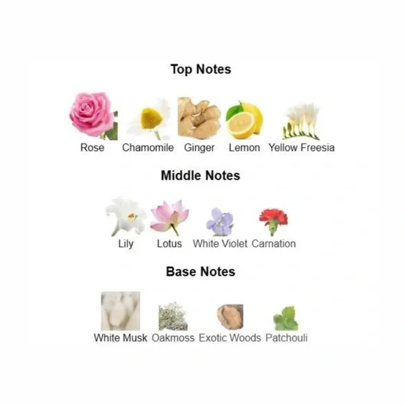 Ralph Lauren Romance Eau de Parfum Spray - .34 fl oz NIB - Picture 6 of 7